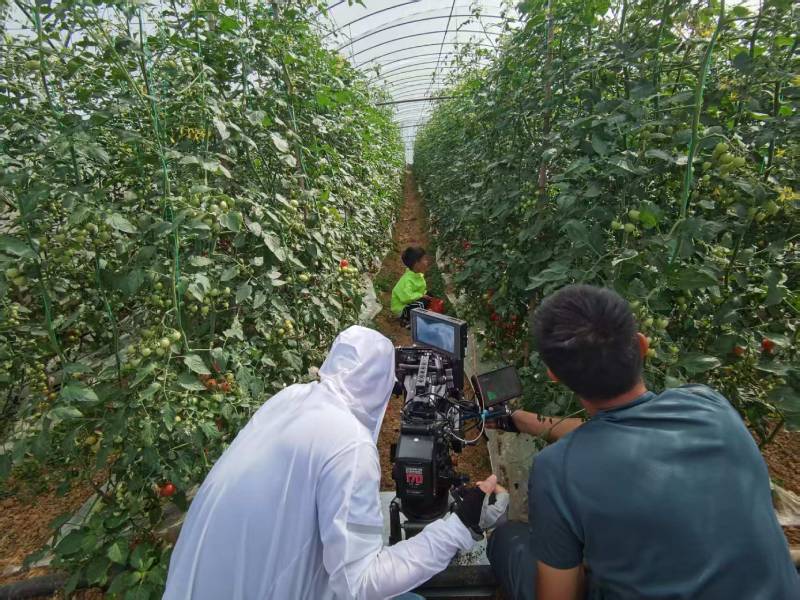 盘龙区产品宣传视频拍摄公司进阶指南，助力品牌抢占传播高地